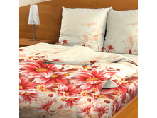 ���� B46.jpg