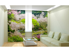 �������� ����.jpg