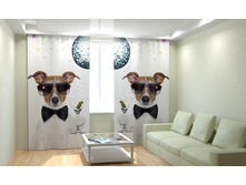 ������ ������.jpg