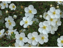 ���������� ��� «���������» 1.jpg