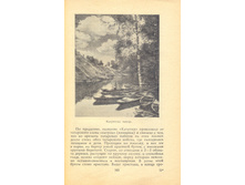 165.jpg