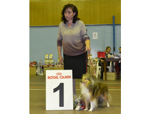 ���� �����