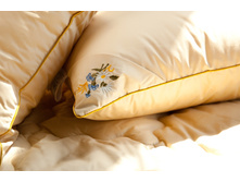 ������� ��������� ����������� ������.jpg