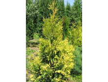 ��� �������� «�������������������».jpg