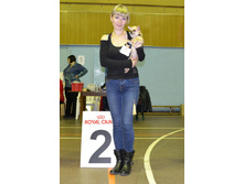 ���� ��������