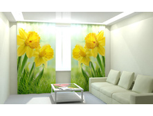 ������ ��������.jpg