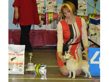 ���� ���������