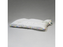 ������� ��� ��������� ���������� ���������� ������� ��� ���������.JPG