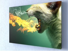 �������� �����.jpg