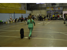 DSC 0664.JPG