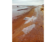 IMG 20151211 130237.jpg