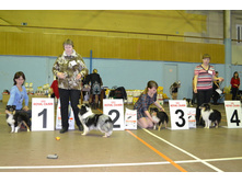 ���� �����