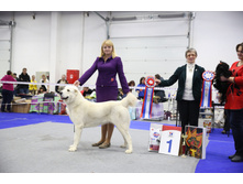 ������ �����-������