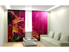 ����� ������.jpg