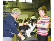 ���� �����