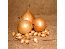 ������ (������ 14-21) 114���. �� 900�, 57���. �� 450� (� ������ ������ ���������� ������� �� 450�).jpeg