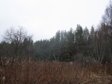 ������ ������� 2015-212.jpg