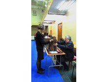 DSCN5916.JPG