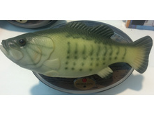 ���� �� �����., ����� 286�