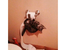 ��� �� �!