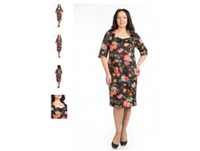 ������ 2664