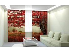 ������� ��������.jpg