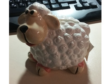 20151211 145230.jpg