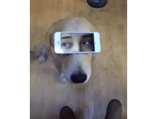 ���� � ����� �������.gif