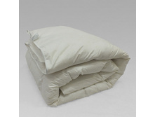 ������ ��������� �����2.JPG