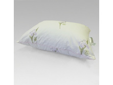 ������� ����������� ����.jpg