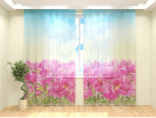 ������������ �����.jpg