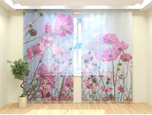 ������ ���.jpg