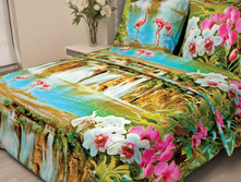 ���� B53.jpg