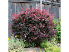 �������� �������� «������������».jpg