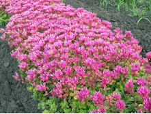 ������ ������.30�