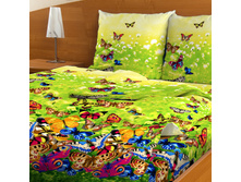 ���� B41.jpg