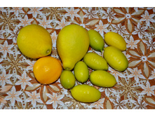 ������ � ��