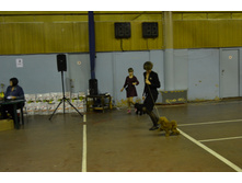 DSC 0790.JPG
