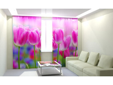 ������� ��������.jpg