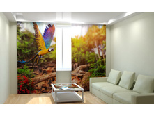 ������� �������.jpg