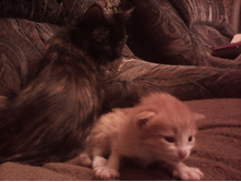 IMG 20151211 131250.jpg