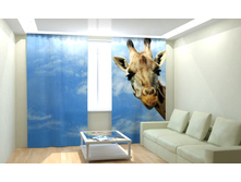 ����� (2).jpg