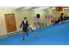 DSCN6136.JPG