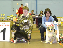 ���� �����