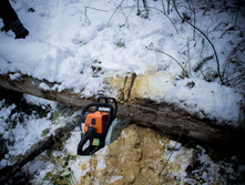 ������ ������� 2015-54.jpg