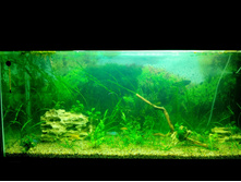 IMG 20151212 145346.jpg