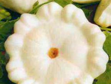 �������� �������� ������� ������ 9,20 ���. [���.9000543]