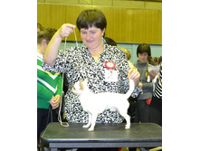 ���� ��������