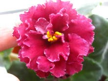 �� ��������