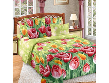 ��������2 ����.jpg